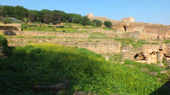 Exotic Gardens of Rabat Sale